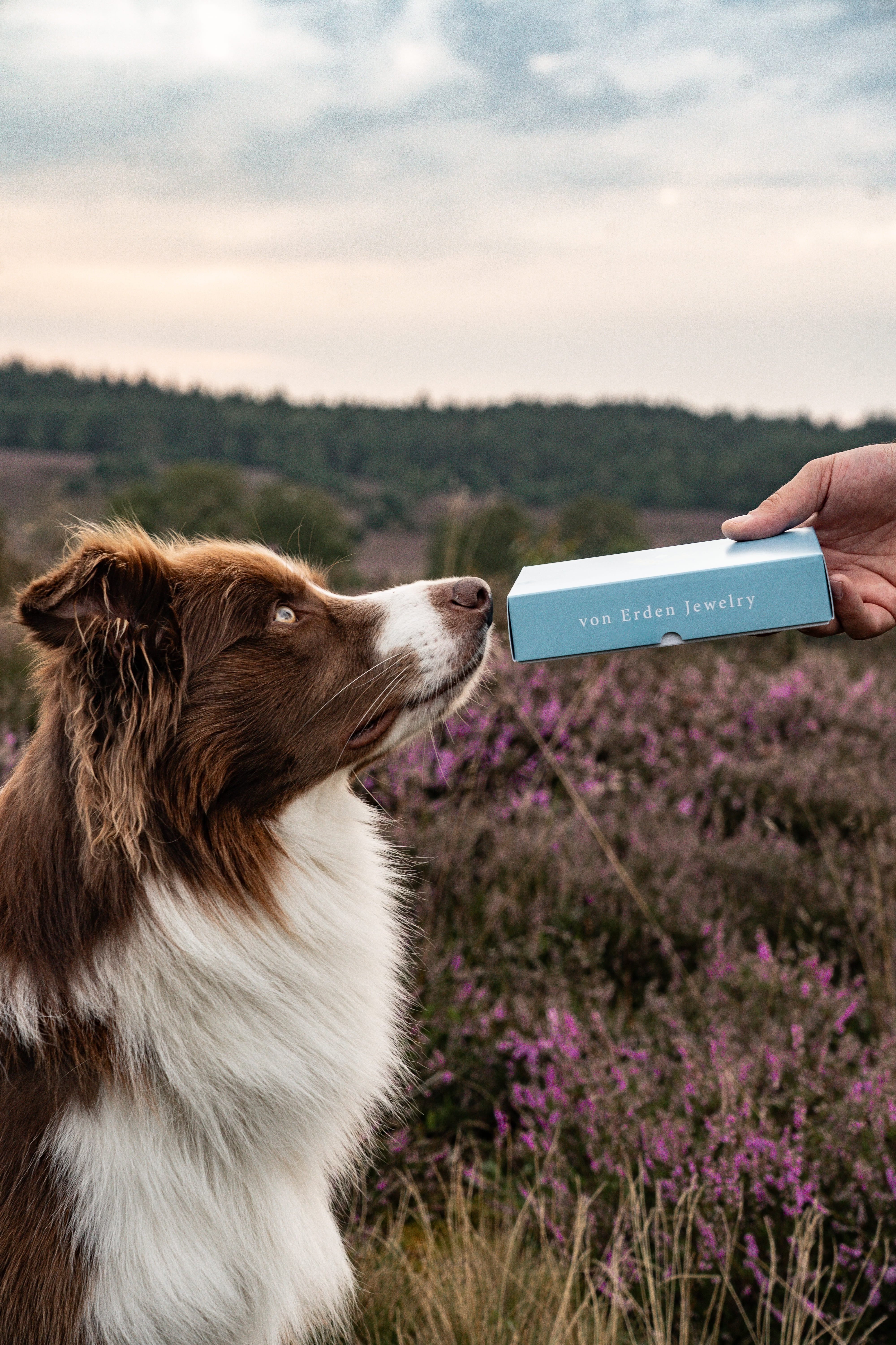 Finger-/Tierabdruck Erinnerungsschmuck